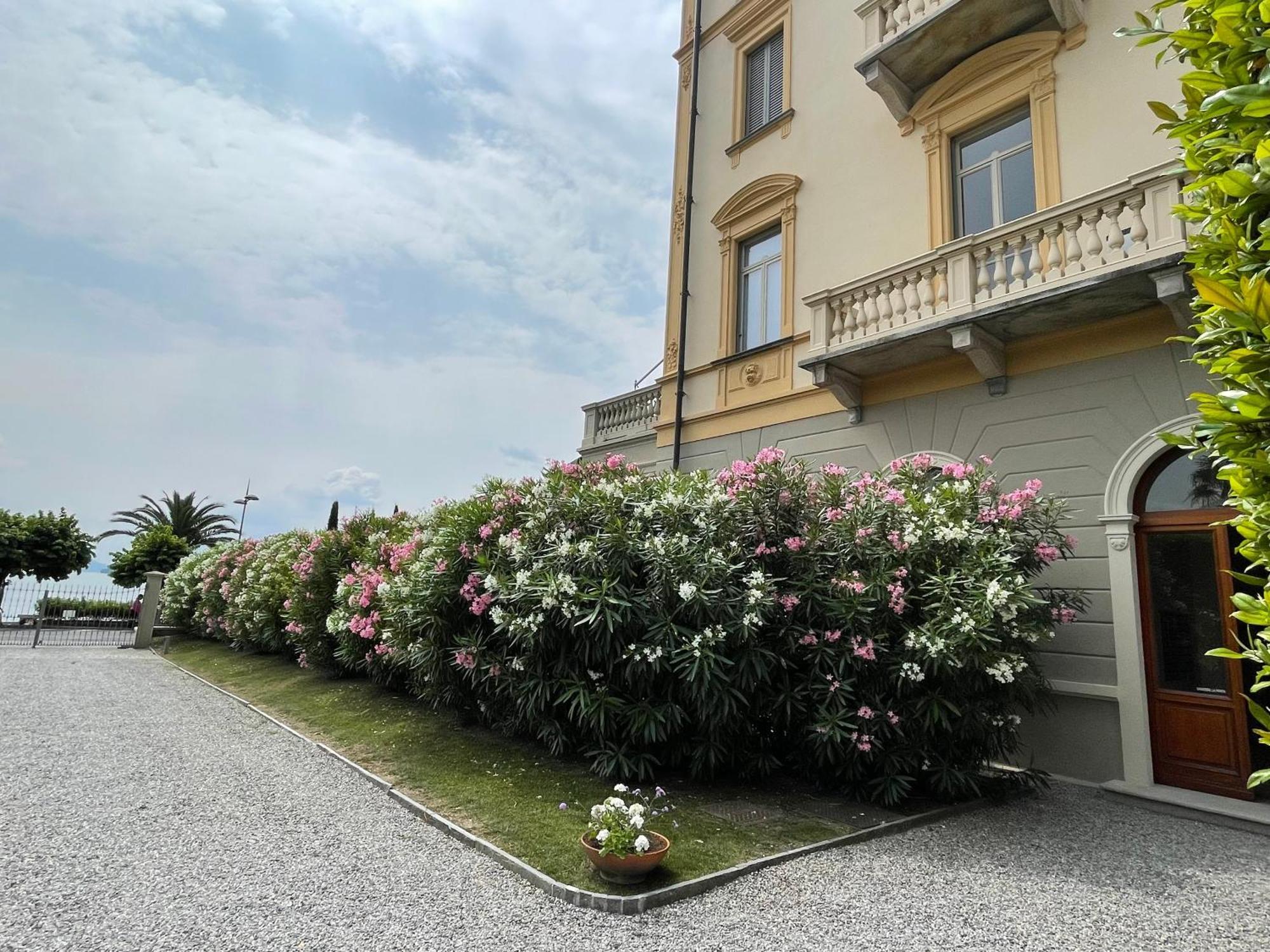 Residenza Victoria Apartamento Menaggio Exterior foto
